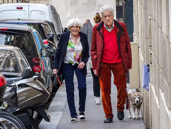 Dog and humans in Montmartre, Paris.